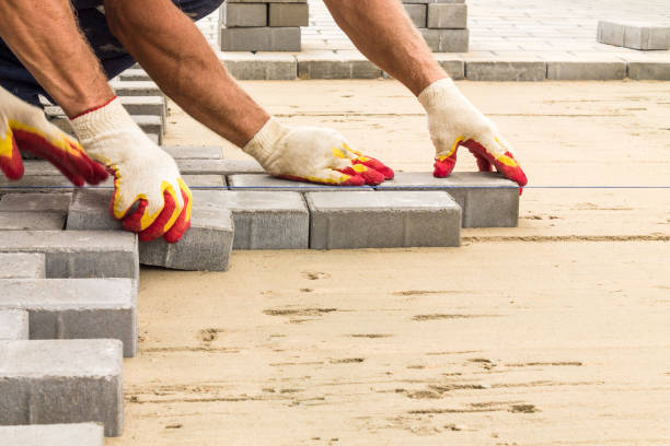 Best Driveway Paving Company  in Enfield, NC